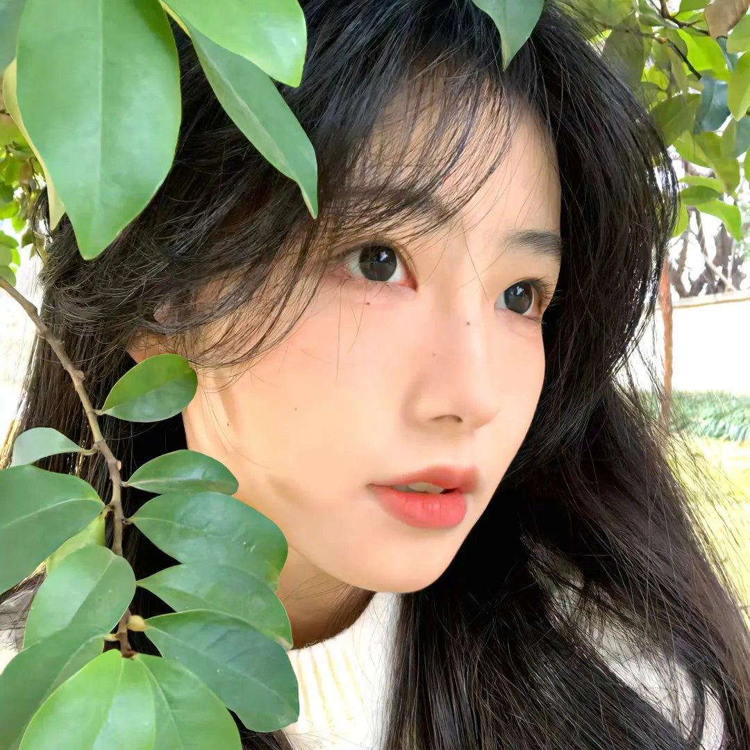 嘉南传